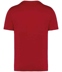 Native Spirit Unisex Heavyweight TShirt