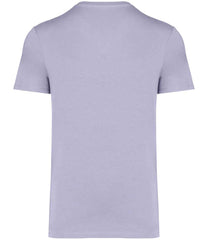 Native Spirit Unisex Heavyweight TShirt