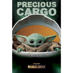 Star Wars: The Mandalorian Poster Precious Cargo 168