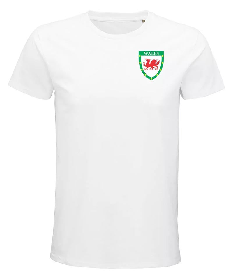 Personalised Kids Wales Flag Style Football Kit SHIRT SHORTS BAG and SOCKS