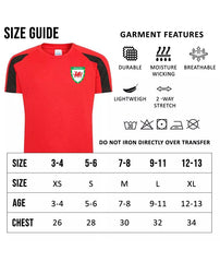 Personalised Wales Custom Football Shirts For Boys And Girls Best Birthday Gift