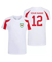 Personalised Wales Custom Football Shirts For Boys And Girls Best Birthday Gift