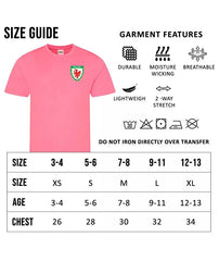 Personalised Wales Custom Football Shirts For Boys And Girls Best Birthday Gift