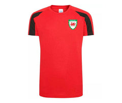 Personalised Wales Style Football Shirts Custom Football Kits for Boys and Girls