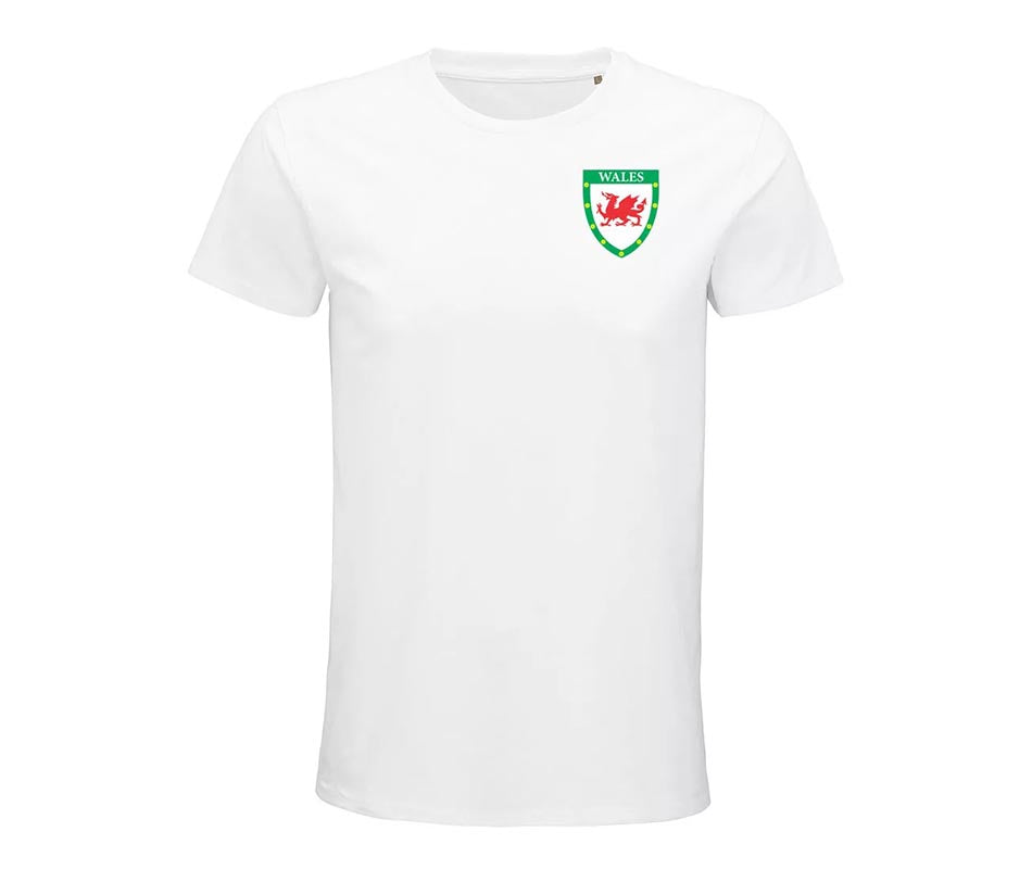 Personalised Wales Custom Football Shirts for Boys and Girls Best Birthday Gift