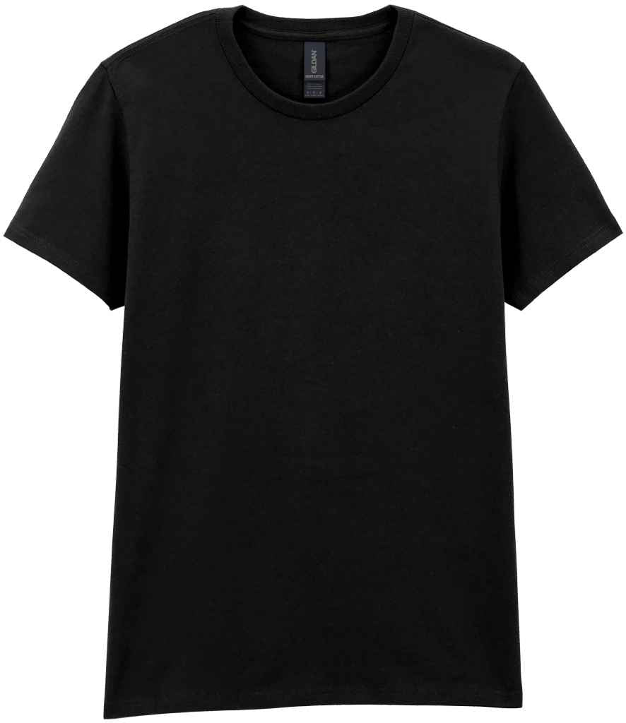 Gildan Ladies Heavy Cotton TShirt