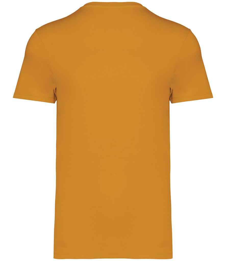 Native Spirit Unisex Heavyweight TShirt