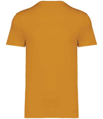 Native Spirit Unisex Heavyweight TShirt