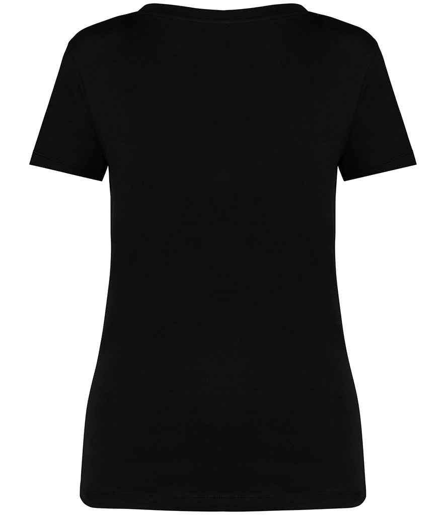 Native Spirit Ladies V Neck TShirt