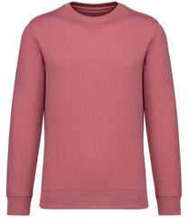 Native Spirit Unisex Crew Neck Sweatshirt