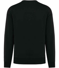 Native Spirit Unisex Oversized Sweatshirt