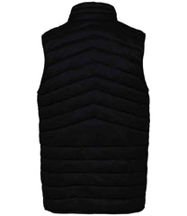 Native Spirit Light Recycled Bodywarmer