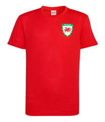 Personalised Wales Style Football Kits Custom Shirts Shorts and Socks